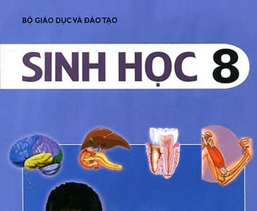Câu trắc nghiệm Sinh học lớp 8 Bài 1 có đáp án: Bài mở đầu