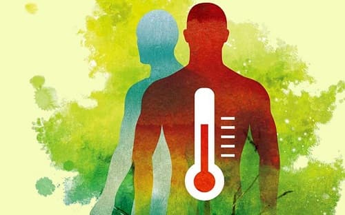 Câu trắc nghiệm Sinh học lớp 8 Bài 33 có đáp án: Thân nhiệt (tiếp)