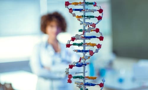 Câu trắc nghiệm sinh học lớp 9 ôn thi, ôn vào 10, Bài 30 có đáp án: Di truyền học với con người
