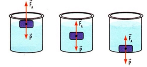 Câu trắc nghiệm Vật lý lớp 8 Bài 12 có đáp án: Sự nổi