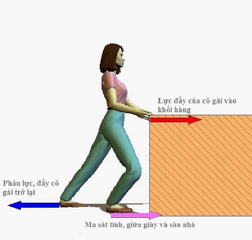 Câu trắc nghiệm Vật lý lớp 8 Bài 6 có đáp án: Lực ma sát