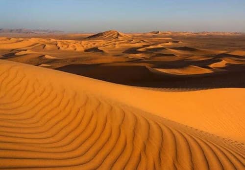 Câu trắc nghiệm Địa Lý lớp 7 Bài 19 có đáp án: Môi trường hoang mạc