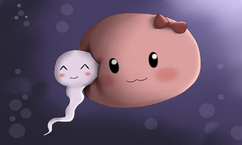 Đề kiểm tra Sinh lớp 8 Chương 11 có đáp án: Sinh sản