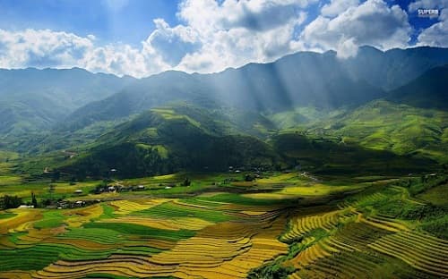 Đề thi Học kì 2 - Địa lí lớp 8