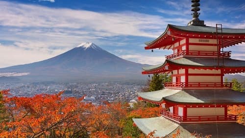 Trắc nghiệm Lịch sử lớp 9 Bài 9 có đán án: Nhật Bản