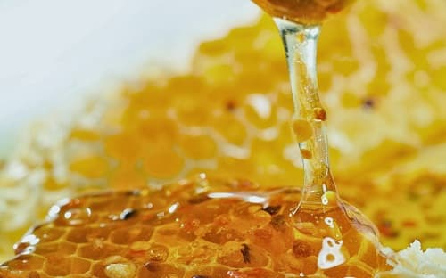 Bổ sung chỉ tiêu chất lượng sản phẩm chỉ dẫn địa lý cho mật ong bạc hà tại Hà Giang