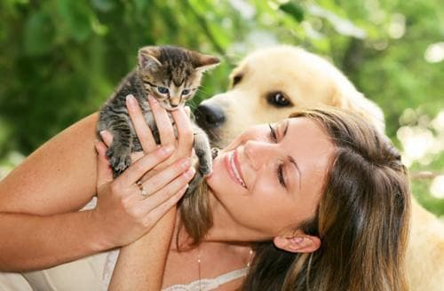 Chó mèo mang lại lợi ích gì cho người độc thân
