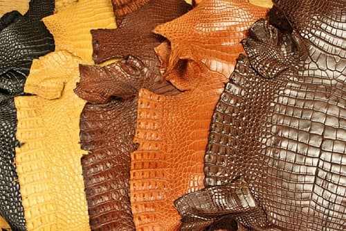 Da cá sấu có giá thành đắt hơn với các loại da khác vì sao?