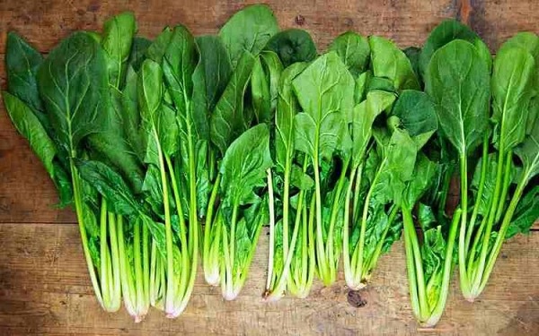 Ăn 5 loại rau này mỗi tuần: Xương chắc khỏe, người hết uể oải