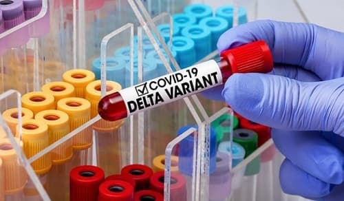 Biến thể Delta: cách lây lan, tác dụng với vắc xin, cách đặt tên