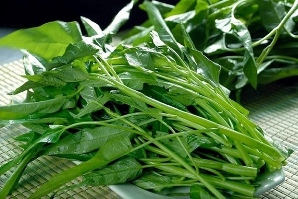 Cảnh báo 3 loại rau ăn lá dễ tích tụ kim loại nặng
