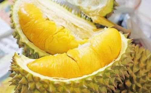 Những ai không nên ăn sầu riêng, cách chọn và ủ sầu riêng nhanh chín