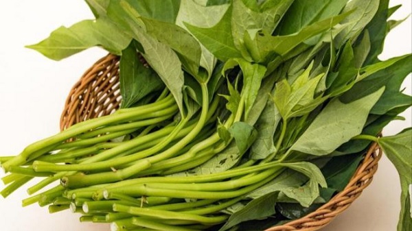 Rau khoai lang món ăn dân giã nâng cao tuổi thọ